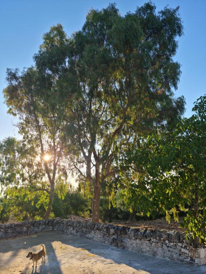 Trulli L'Utopia Di Anny Trulli Anny'S Utopia Locorotondo Eksteriør billede