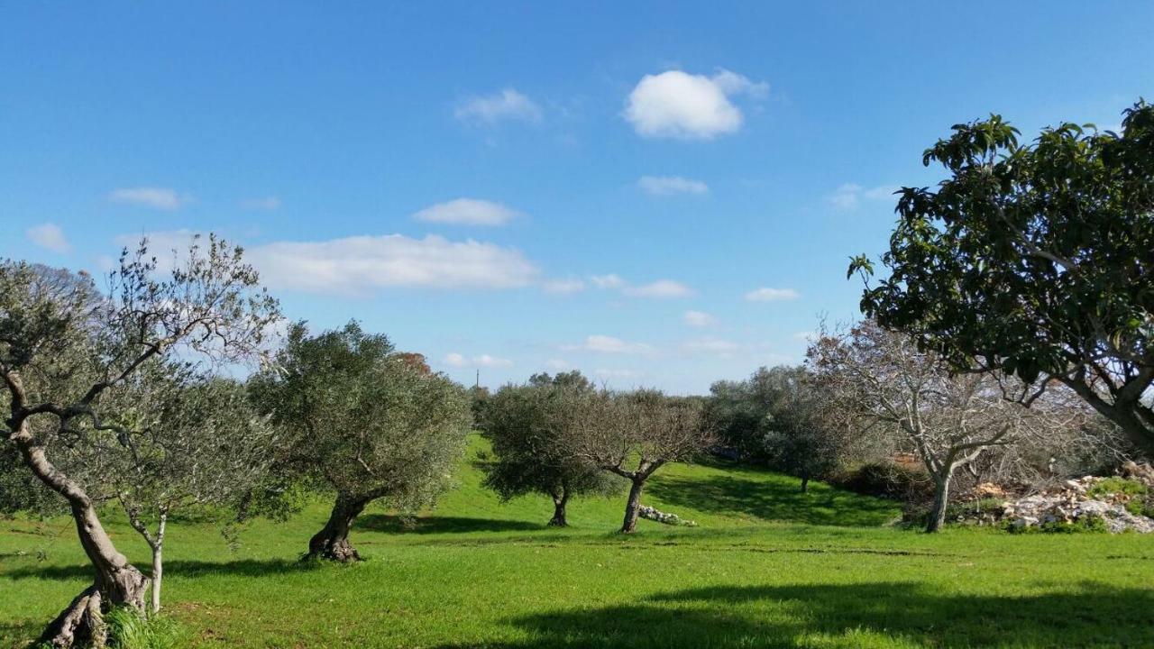 Trulli L'Utopia Di Anny Trulli Anny'S Utopia Locorotondo Eksteriør billede